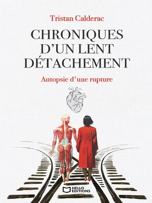 cover image of Chroniques d'un lent détachement--Autopsie d'une rupture